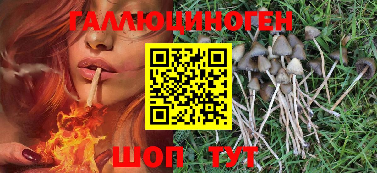 Псилоцибиновые грибы Ишимбай